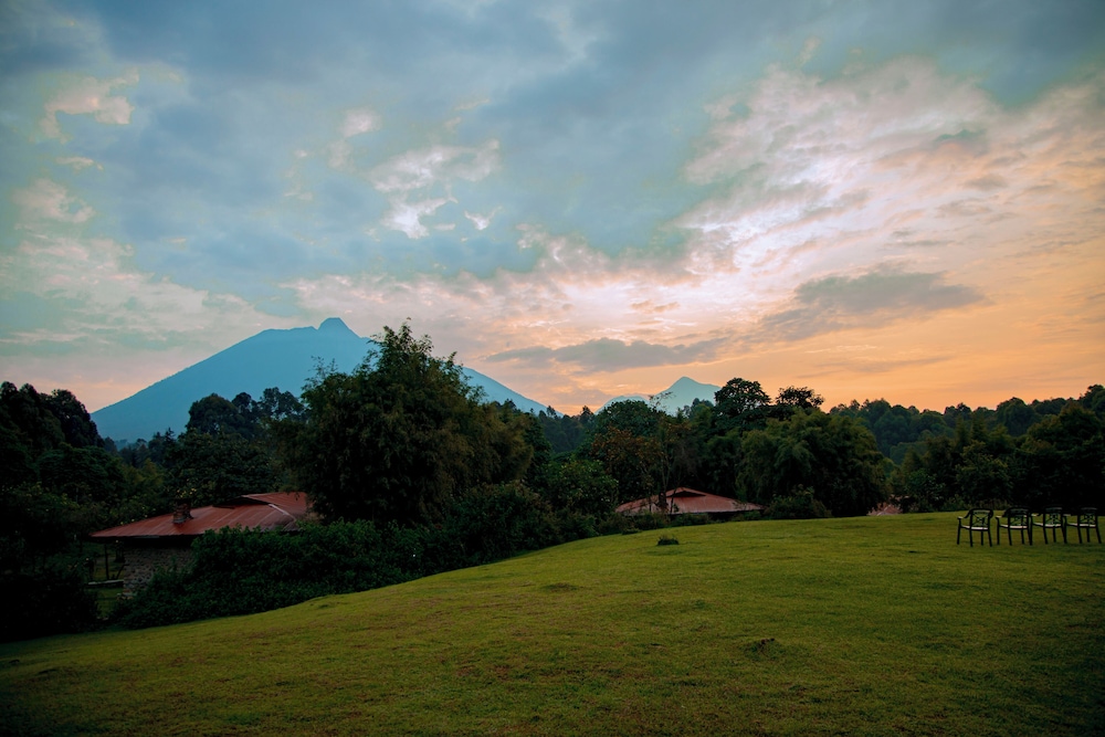 Mountain Gorilla View Lodge by null