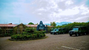 A building with a large gorilla mural, a paved courtyard, and parked vehicles. - Mountain Gorilla View Lodge (Kinigi)
