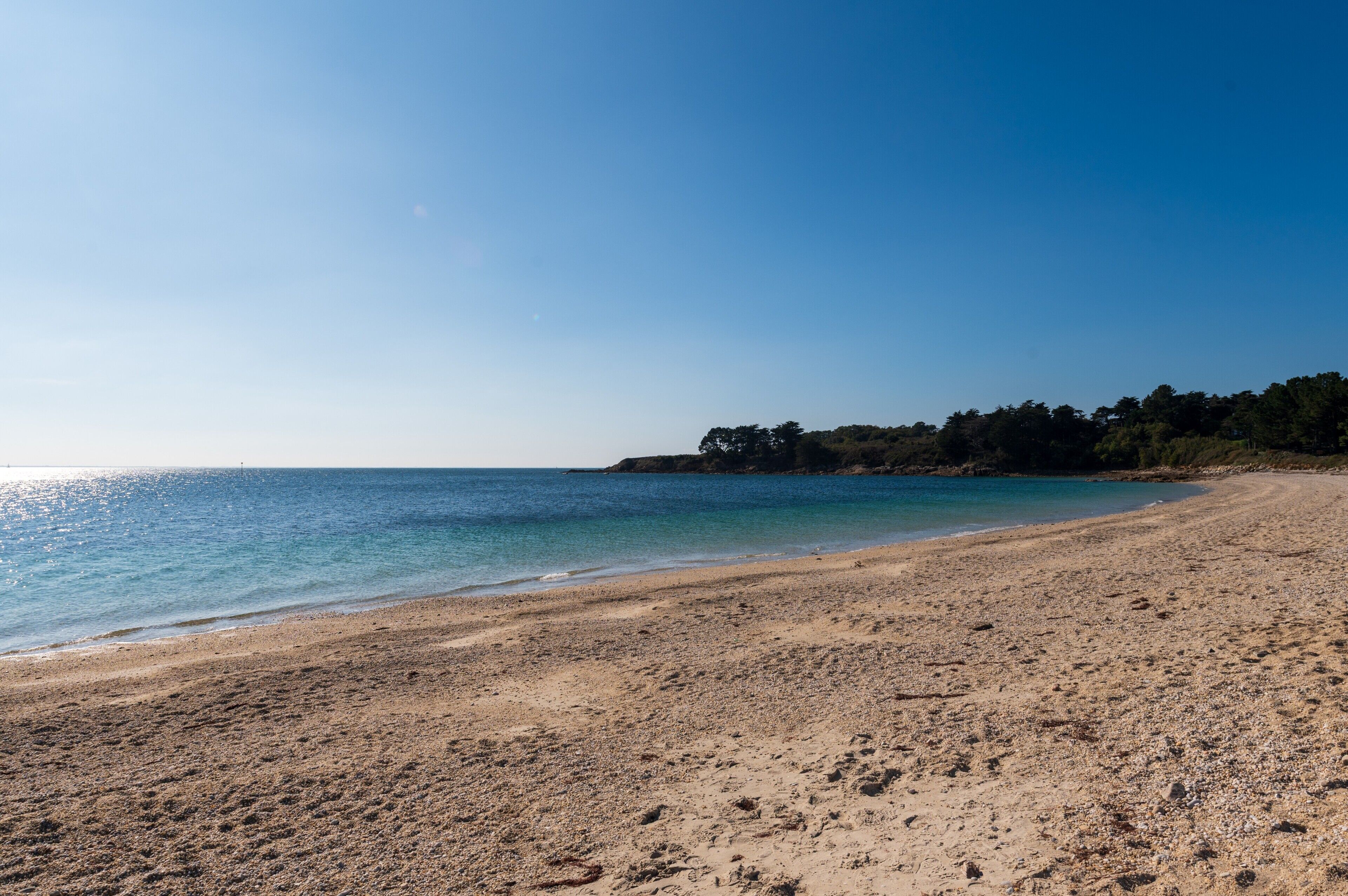 A beach with clear water, sandy shore, and a forested area in the background.