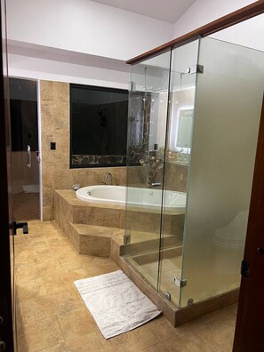 Shower, jetted tub, hair dryer, towels