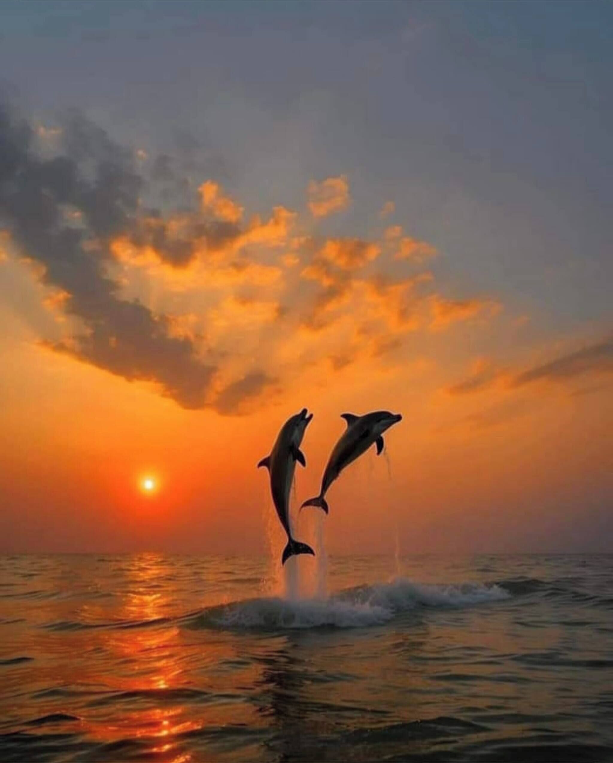 Divers