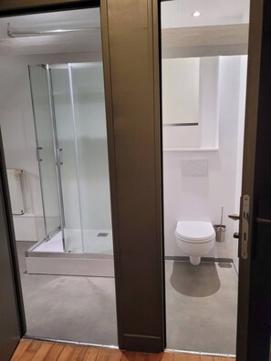 Regadera, amenidades de baño gratuitas, secadora de cabello, toallas 