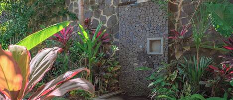 A stone wall with a small window, surrounded by lush tropical plants.