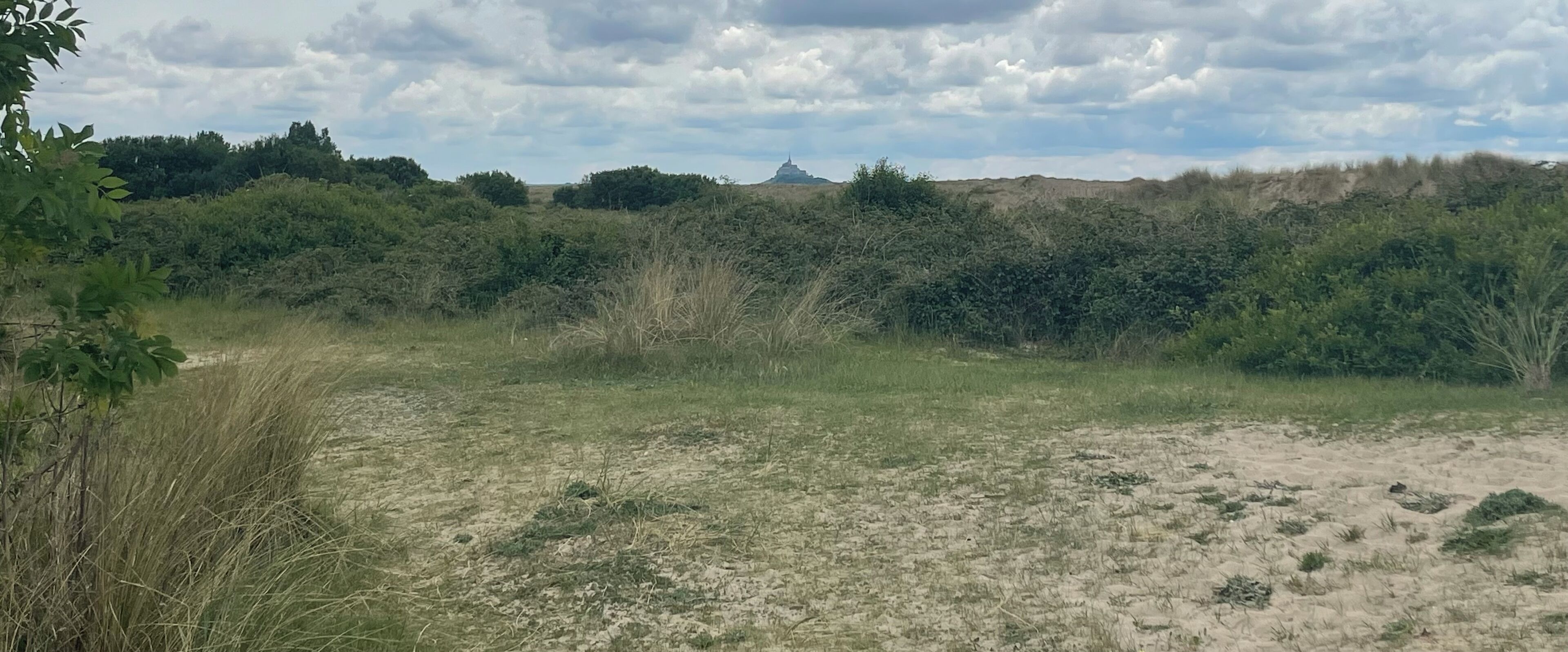 Un paysage naturel caractérisé par une colline et une végétation luxuriante.