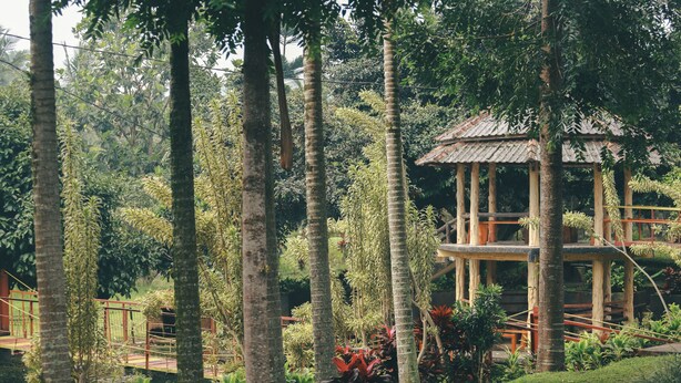 A wooden gazebo with a tiled roof surrounded by lush greenery and palm trees. - Aquarius Orange Hotel & Villa (Cisarua)
