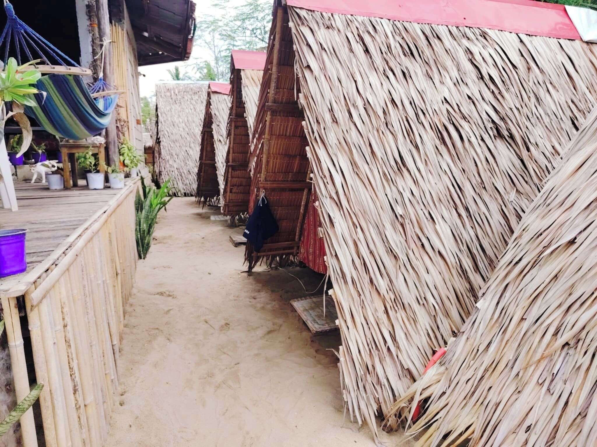 Tienda de campaña básica, vista parcial al mar | Wifi gratis 