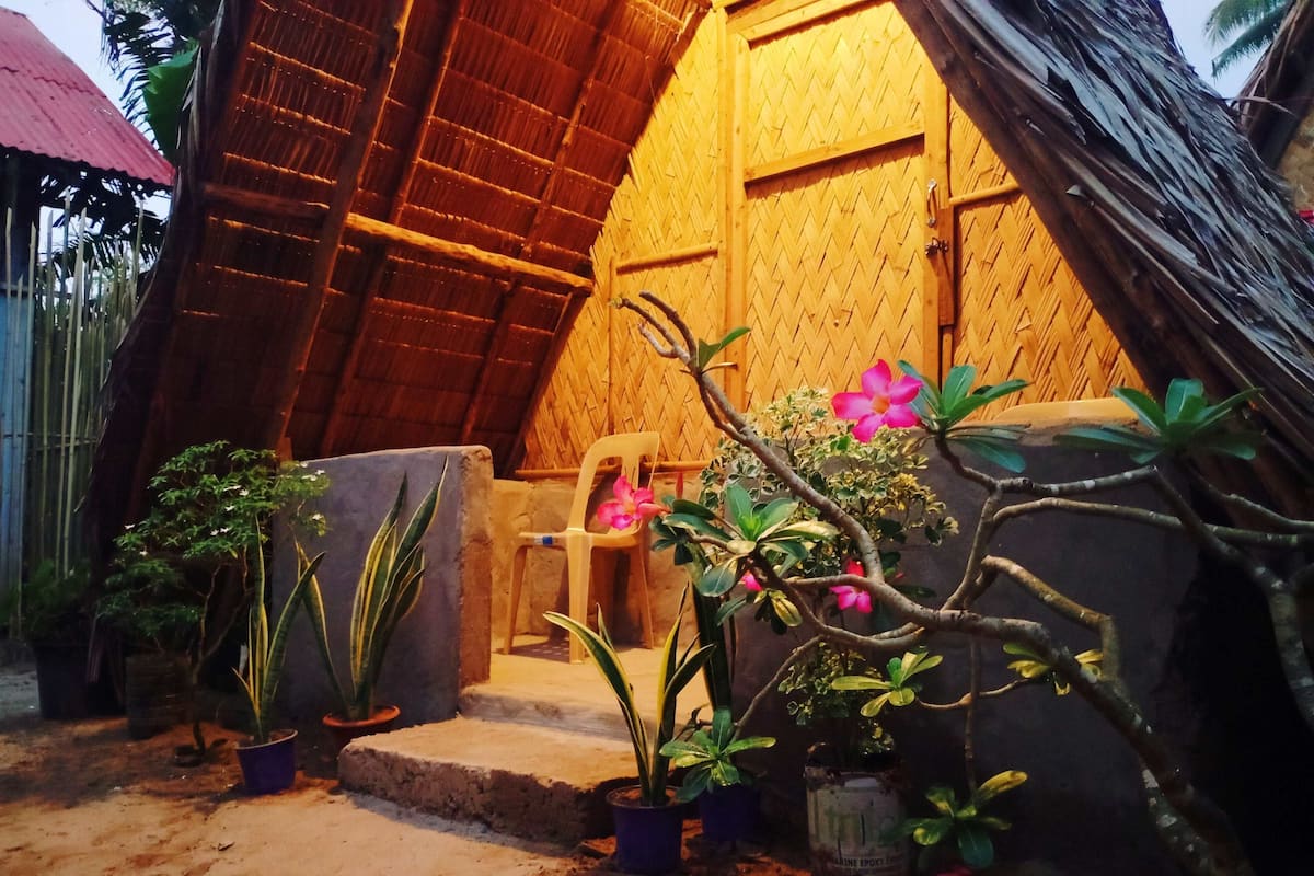 Une structure rustique en bois, dotée d’un toit de chaume, avec un escalier en béton menant à une porte, et plusieurs plantes en pot disposées au premier plan.