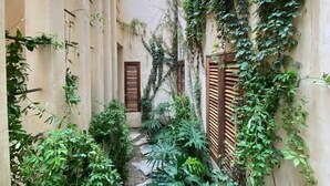 A narrow alleyway with stone steps, flanked by lush greenery and wooden shutters. - Punta Morelos (Brisas de Zicatela)
