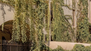 A building with a covered outdoor area, a wooden fence, and greenery. - Punta Morelos (Brisas de Zicatela)