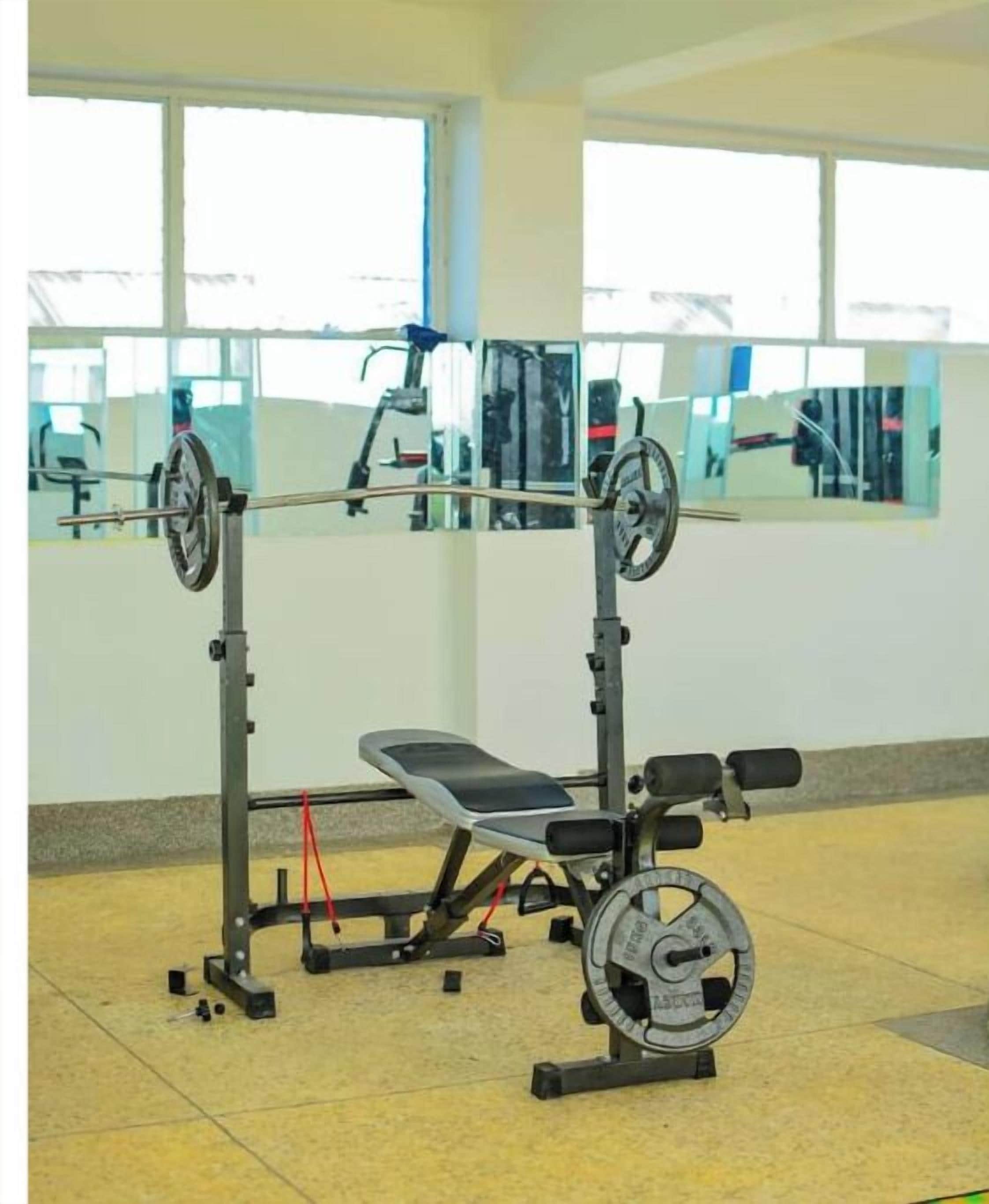 A gym with a squat rack, bench, and weights.