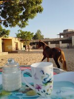 Vista desde la propiedad