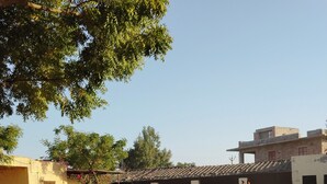 Una stalla con un cavallo, un tavolo con una tazza e una bottiglia, e edifici sullo sfondo.