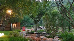 A natural outdoor area with a stone pathway, trees, and a wooden structure. - Tanuki house Khaoyai (Pak Chong)