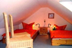 3 slaapkamers, een strijkplank/strijkijzer, gratis wifi, beddengoed
