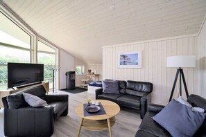 Smart TV, fireplace, books