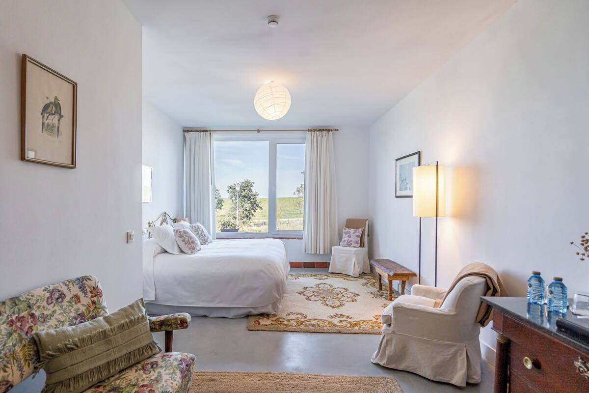 Deluxe Double Room, Garden View | Desk, laptop workspace, free WiFi