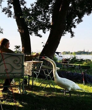 المنطقة المحيطة بالمنشأة