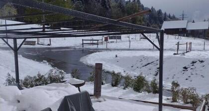 Apartamento de un dormitorio