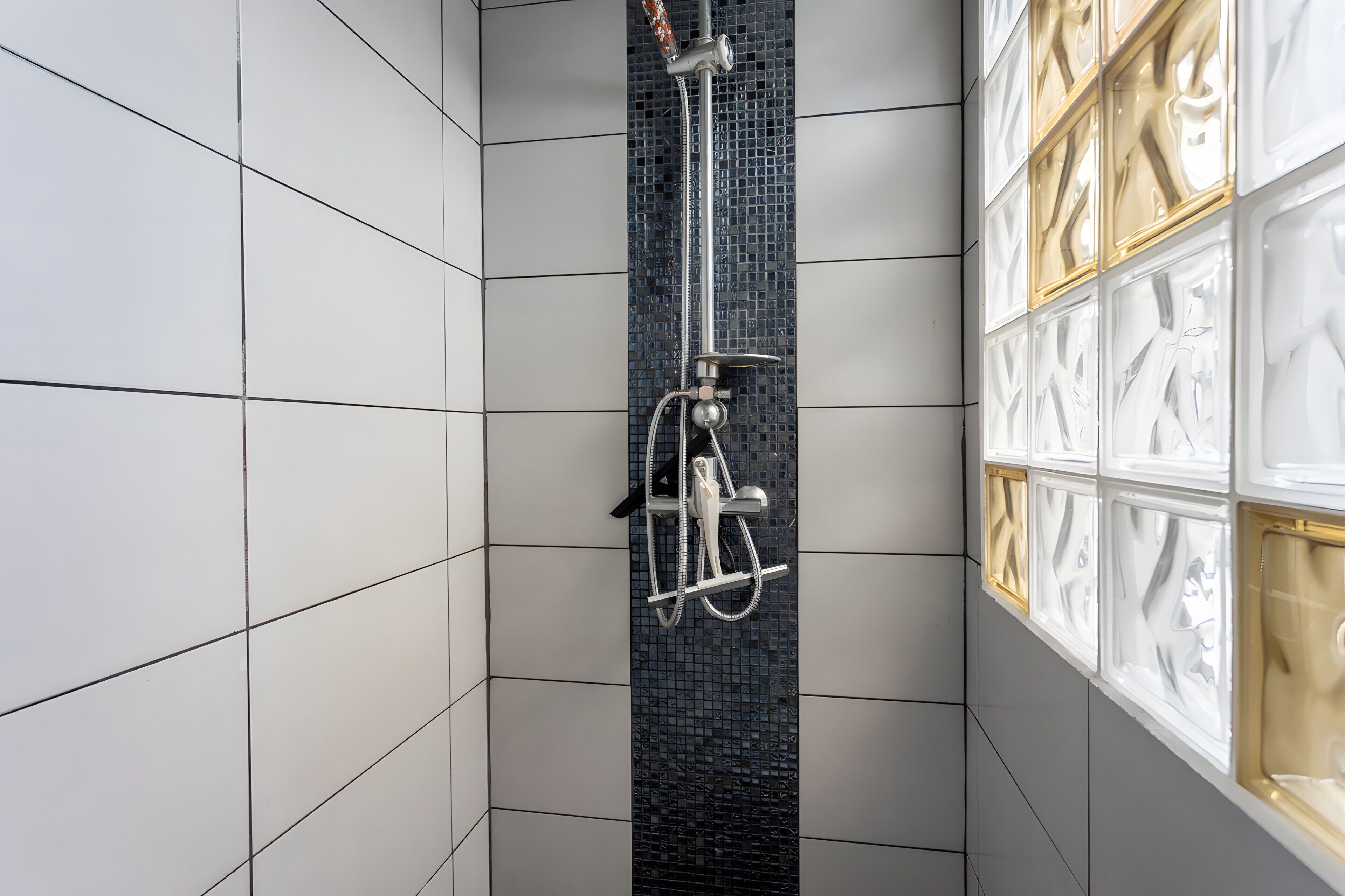 Regadera y secadora de cabello 