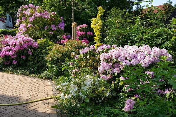 Property grounds - Orplid in the Iffland Guesthouse (St. Peter-Ording)