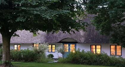 Thatched cottage in the meadow