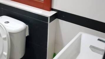 Combined shower/bathtub, towels, soap, toilet paper