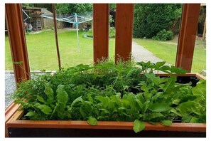 المنطقة المحيطة بالمنشأة