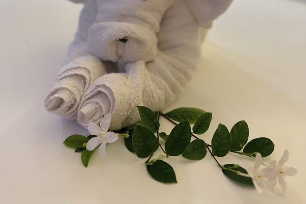 Un asciugamano piegato a forma di coniglio su un letto con lenzuola bianche, insieme a un piccolo ramo di foglie verdi e fiori bianchi.