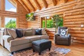 Smart TV, fireplace, video games, books