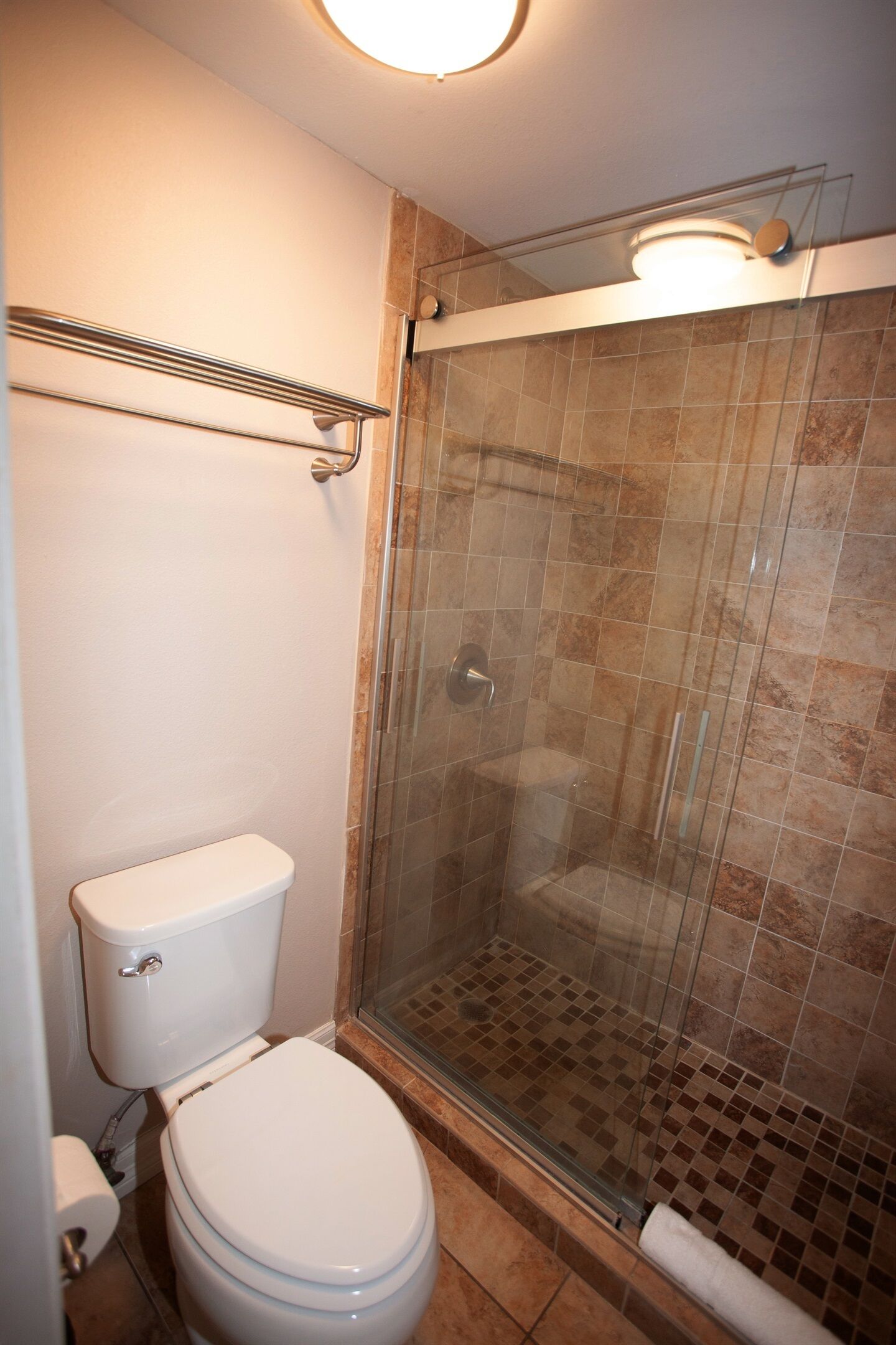 A bathroom with a glass-enclosed shower, a toilet, and a towel rack.