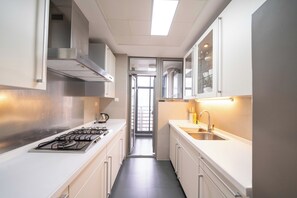 Superior-huoneisto, 3 makuuhuonetta, parveke, kaupunkinäköala | Yksityinen keittiö