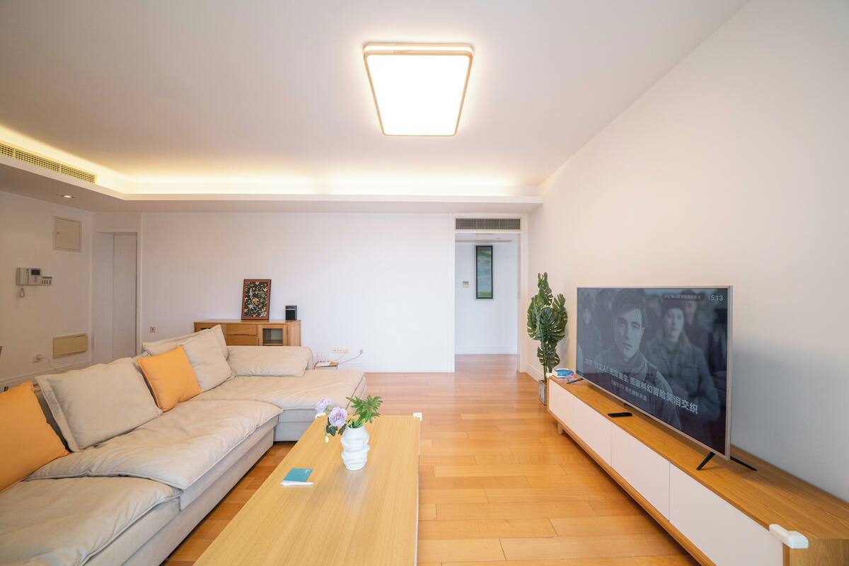 A modern living room with a sofa, coffee table, TV, and a plant.