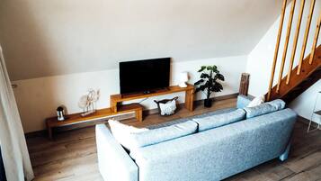 TV