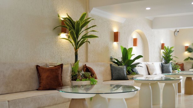 A modern lobby with a sofa, glass-top tables, and potted plants. - niXie Bodrum (Bodrum)