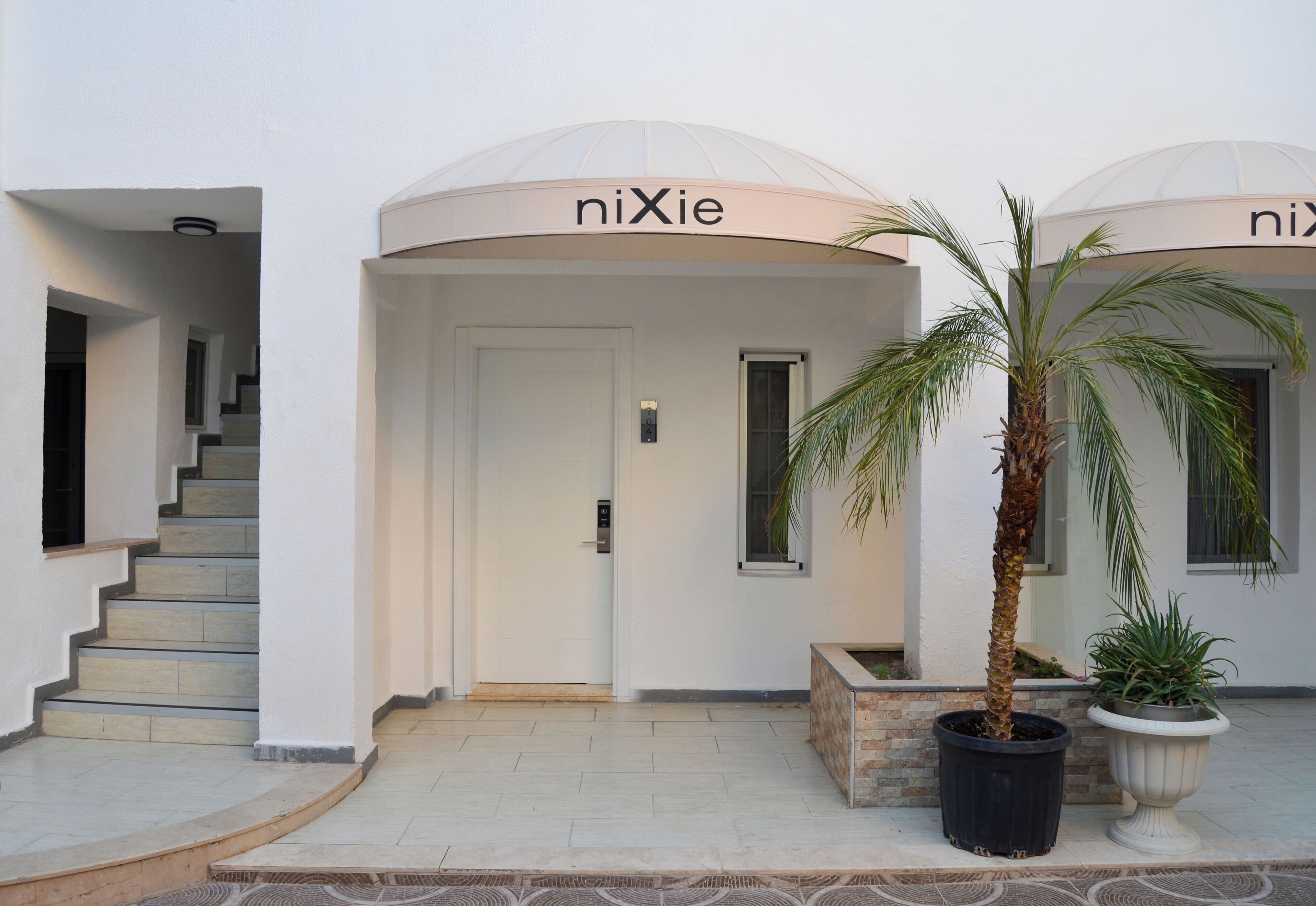 Una entrada de edificio con una palmera y plantas en macetas, una escalera y una puerta con un letrero encima.