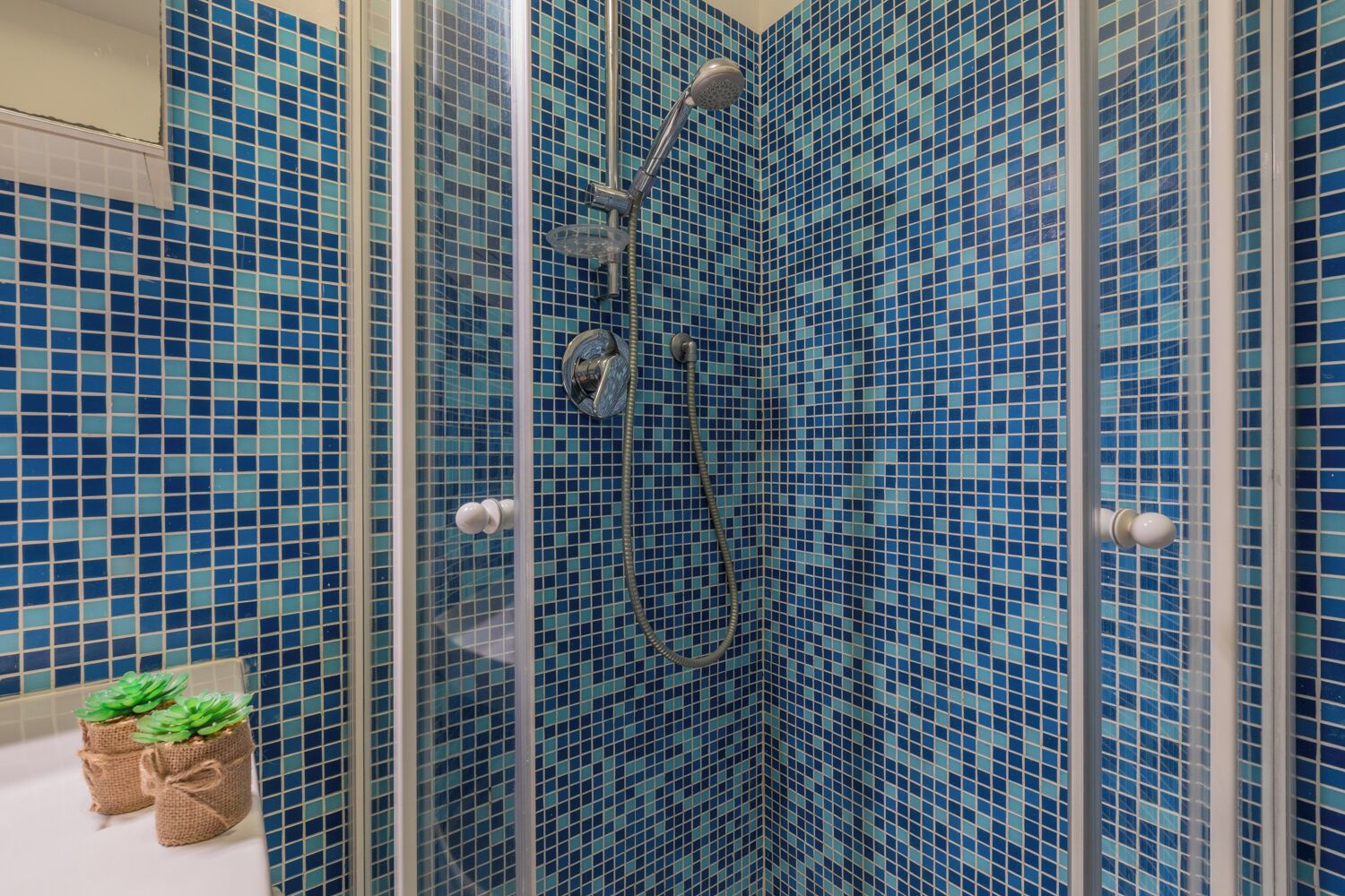Ducha con azulejos de mosaico azules, puerta de cristal y una planta pequeña en la encimera.