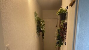 A narrow hallway with wooden flooring, white walls, and multiple potted plants.