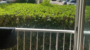 A balcony with a view of a parking lot, a palm tree, and buildings in the background.