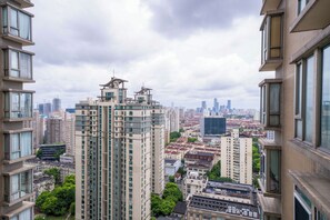 Superior Apartment, 3 Bedrooms, Kitchen, City View | View from room