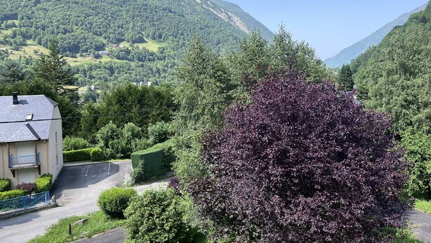 A residential area with a house featuring a driveway and a well-maintained garden. - Quiet apartment in Cauterets with private parking (Cauterets)