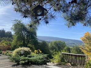 DĂ©tail de lâextĂ©rieur