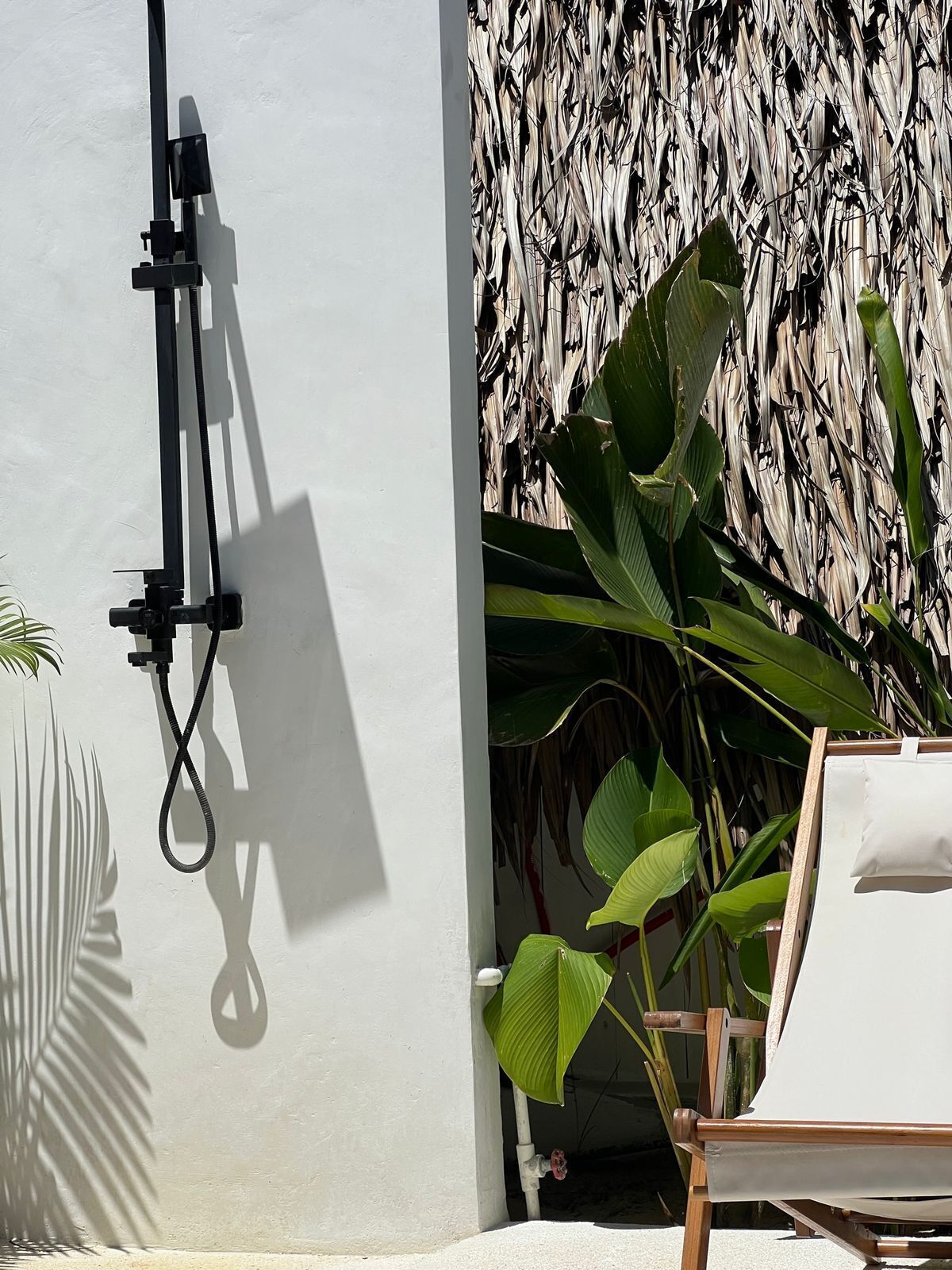 A white wall with a black hose, a wooden chair, and large green leaves.