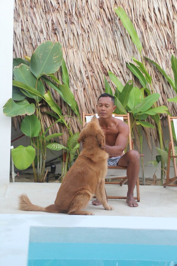 สระว่ายน้ำกลางแจ้ง