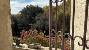 Un portail en fer forgé mène à une terrasse en pierre d’où l’on peut admirer un jardin et des arbres.