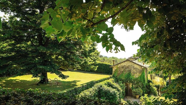 Property grounds - Villa Spada - countryside - Pool - 30 min from the Sea (Toscana)