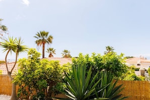 A residential area with a house featuring a tiled roof, surrounded by various tropical plants and a bamboo fence.