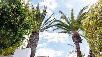 Overnatningsstedets område