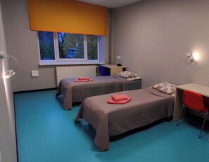 Habitación estándar con 2 camas individuales, vistas al parque | Escritorio y espacio para trabajar con un portátil