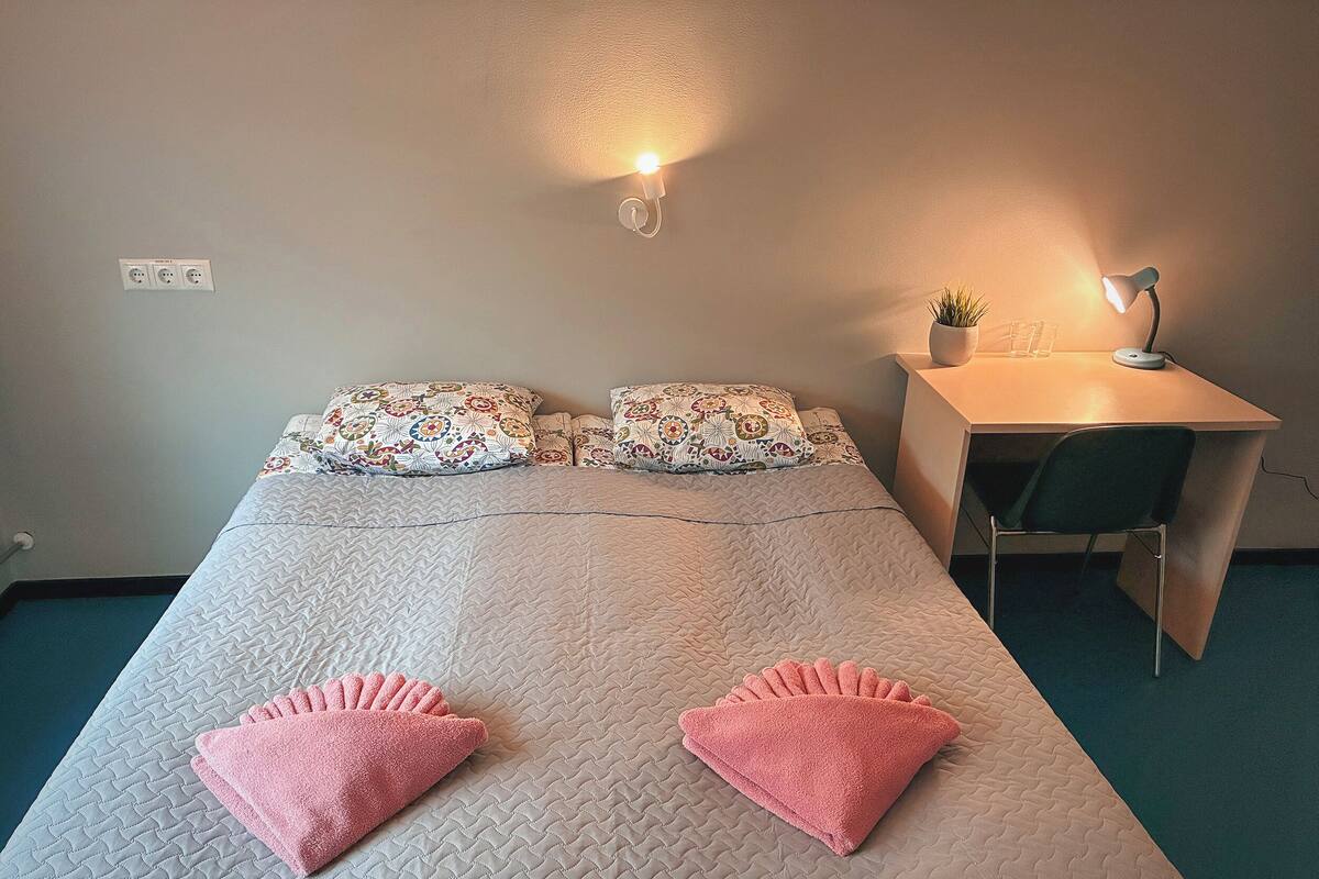 Una cama individual con almohadas estampadas, un escritorio con lámpara y una pequeña planta.