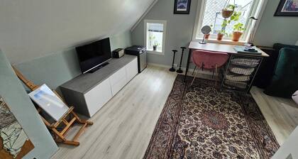 Room-large Room in Central and Unique ap